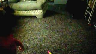 Emma McKie dancing to "Honky Tonk Groupie" - Codie Prevost