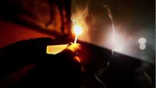 The Holiday Crowd - Sick Days (Official Video)