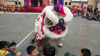 Lễ Chào Cờ 2018, Hướng Đạo Miền Trung Hoa Kỳ tại Houston, TX