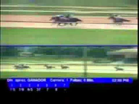1ERA CARRERA MIERCOLES 04 ABRIL VALENCIA AUDIOHIPISMO.wmv