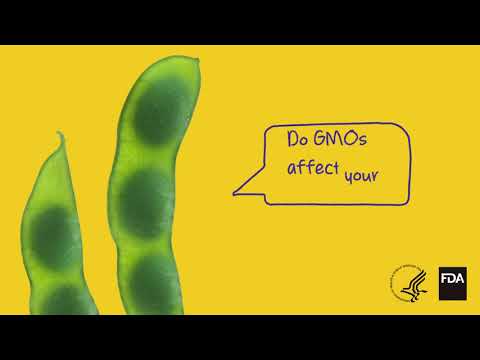 Do GMOs Affect Your Health?
