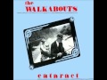 Goodbye (To All That) - The Walkabouts