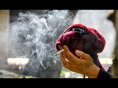 Majesty Of Revival - Bury Me (Official Video)