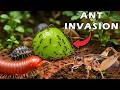 I Built A Mini Bug Ecosystem