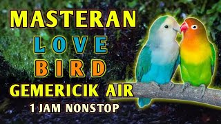 Download lagu Masteran Suara Burung Love Bird Lb durasi Panjang dengan gemericik air Untuk Terapi dan Pancingan mp3
