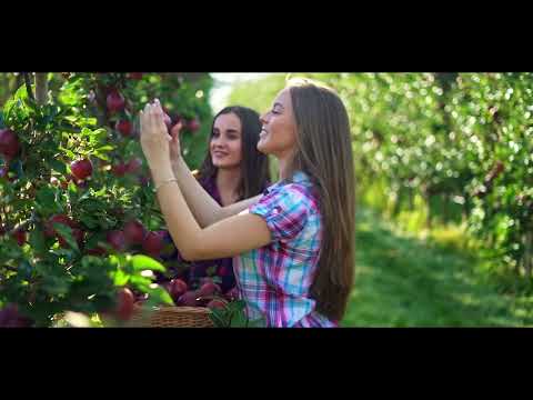 Albena Resort – Earth