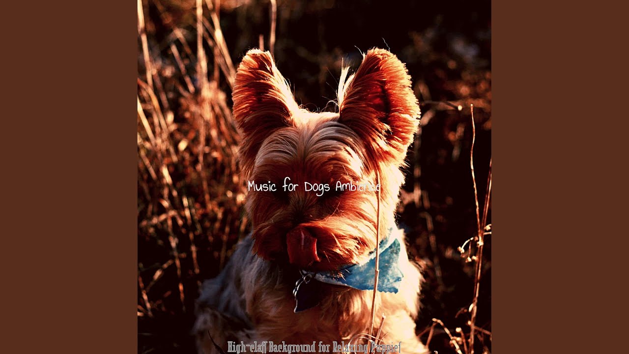 Hypnotic Moods for Resting Pups