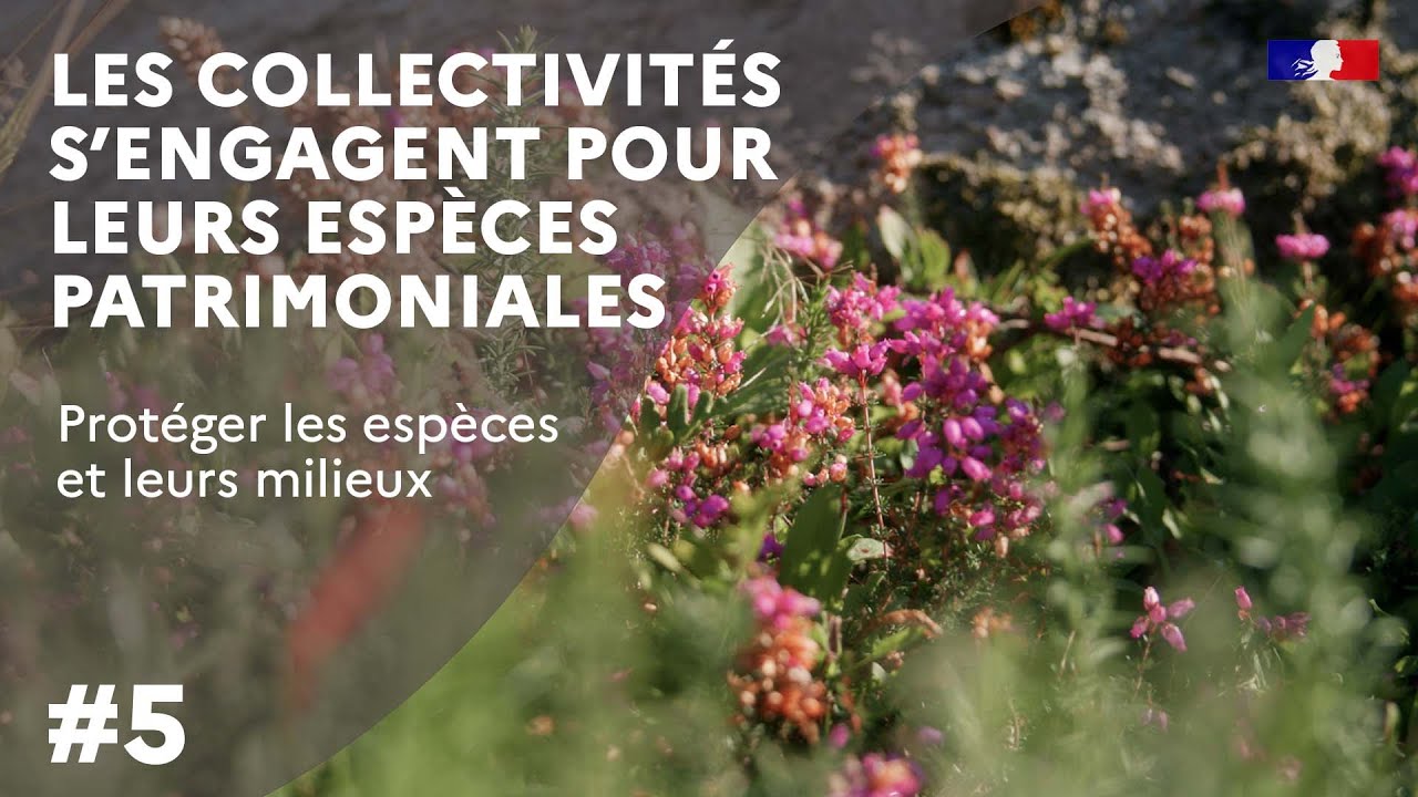 Les collectivités s’engagent pour leurs espèces patrimoniales