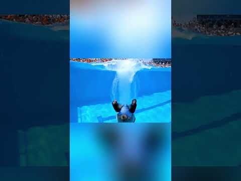 Animal Olympics 02 ,this time who will get the champion?Panda or Dinosaur?