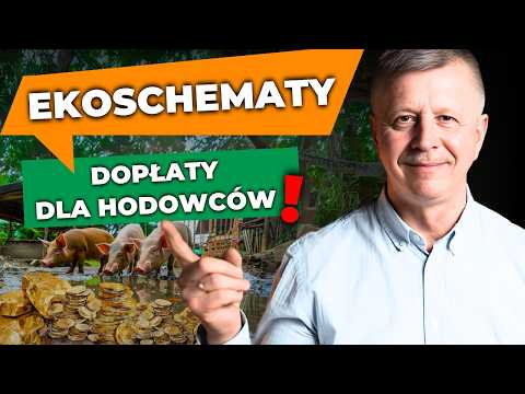 Jak Skorzystać z wyższych DOPŁAT na Dobrostan Zwierząt?  EKOSCHEMATY 2025 | Hoduj z nami - Farmshop