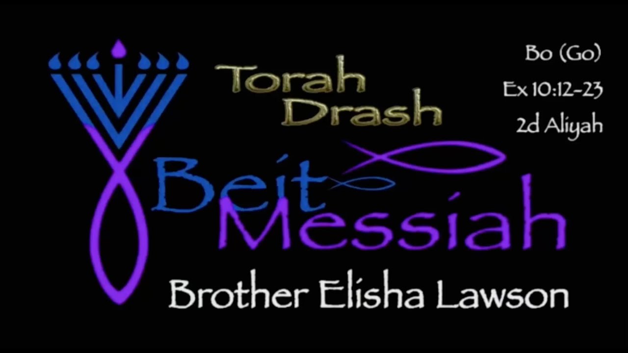 Bo by Brother Elisha