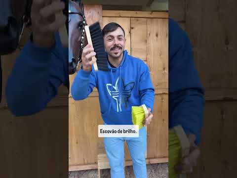 Escovão de Limpeza e Brilho Para Cavalos Higienização completa Direto de Dores de Campos Mias Gerais