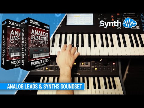 APL011 - Analog Leads & Synths - Yamaha MODX / MODX+ ( 44 presets ) - Video Preview 1