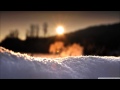 White Apple Tree - Snowflakes (PINGPONG Winter ...