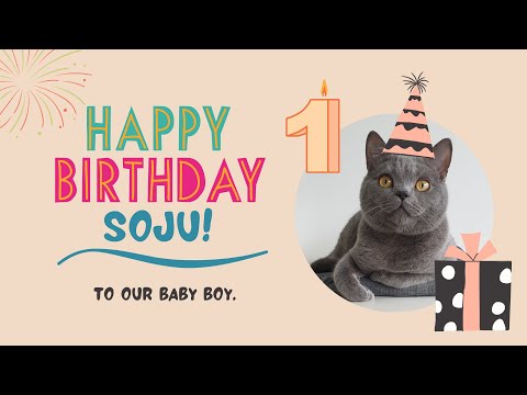 Soju is turning 1 today! Happy birthday!