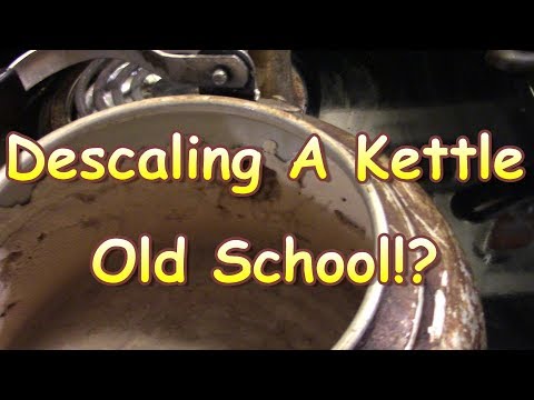 Descaling a Kettle With Oyster Shell!