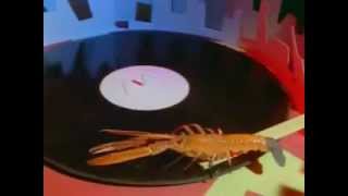 The B52´s - Rock Lobster (Official Music Video)