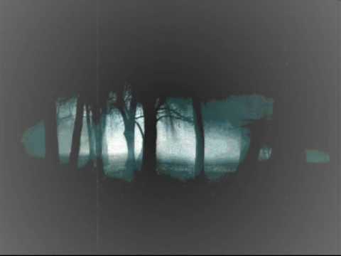 Trippy Hippies - Don't Worry Be Hippie