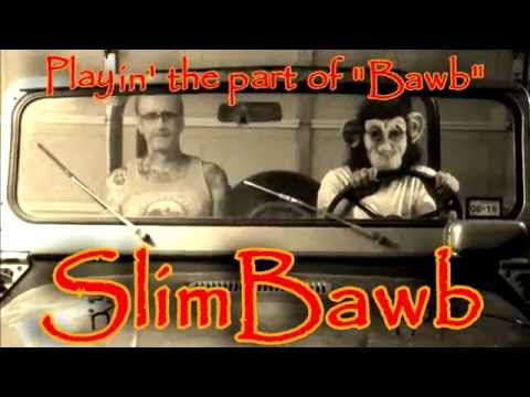 Aint My Monkey - SlimBawb & The Fabulous StumpGrinders