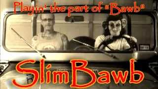 Aint My Monkey - SlimBawb & The Fabulous StumpGrinders