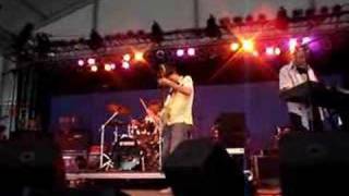 stephen malkmus - it kills