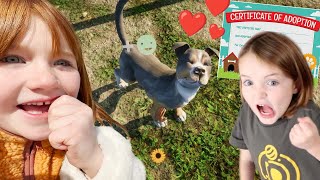 ADOPT A DOG with ADLEY & NiKO!! Morning Routine cereal and games! Niko's Win vs SSG Pro gamers LAN