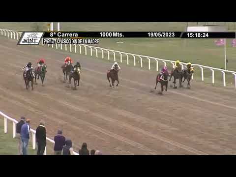 SINT - COLONIA 230519 - c08 1° DESORIENTADA