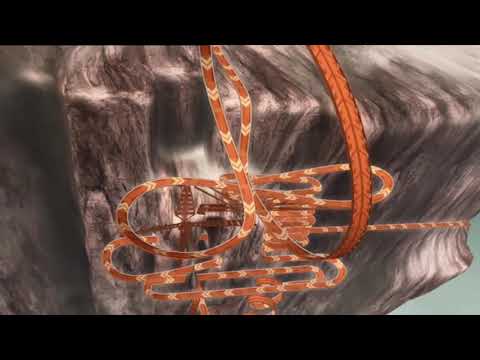 Go! - Mark Mrdeza - Acceleracers