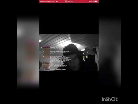 Kidnfinity - Rette sich wer kann