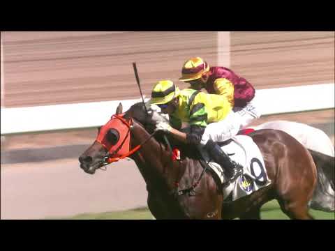 11/7/2021 (822) Dragon Commander - J Moreira