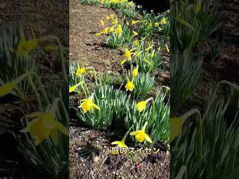 2022 年春の子供向けガーデニング アクティビティ