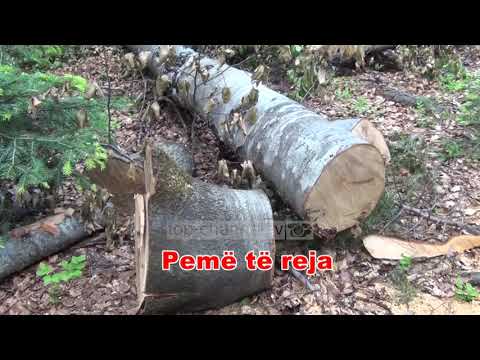 Fiks Fare, 13 Shtator 2018, Pjesa 2 - Investigative Satirical Show