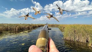 SOLO Tiny Water PUBLIC LAND Duck Hunting! (LIMITED OUT)