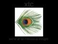 XTC  - " Frivolous Tonight "  (with lyrics)