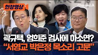 곽규택, 엄희준 세워두고 서영교·박은정 목소리 듣는 게 고문 [현장영상] / 채널A