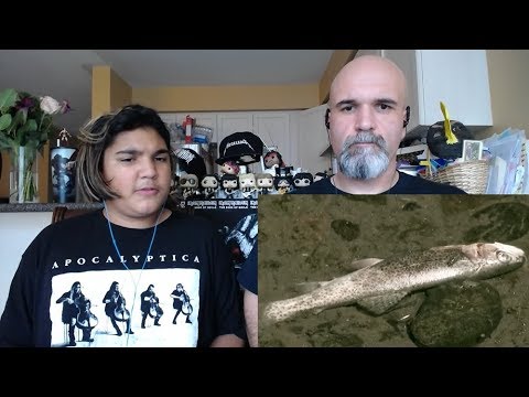 Fit For An Autopsy - Black Mammoth [Reaction/Review]
