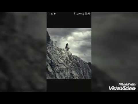 Der Tot nimmt keine Rücksicht wen er holt sondern er handelt aus Prinzip💀