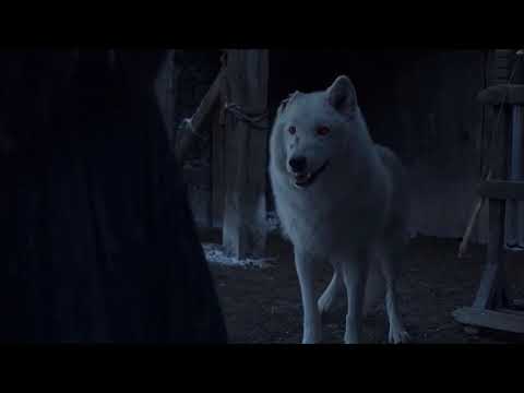 Jon Snow and Ghost reunite again ❤️❤️❤️ S08x06