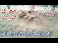 Pakistan Kushti Dangal Imran Pehlwan Gurmani Vs Ahemad Pehlwan Pakistan Village Dangal Mela Kushti