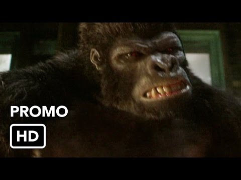 The Flash 2x07 Promo "Gorilla Warfare" (HD)