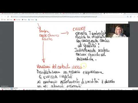 classe 4E integrazione alterazione alimenti e compiti