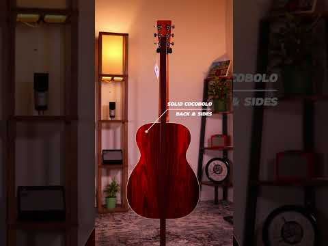Martin Custom Shop 0014F Cocobolo - Black Ebony Fingerboard, Natural image 26
