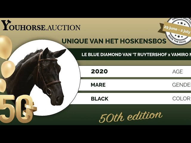 Unique van het Hoskensbos