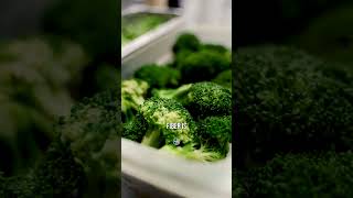 Do You Actually NEED FIBER In Your Diet?