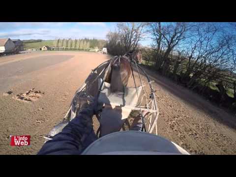 Carnet de pistes - Bold Eagle - Grand Prix de France 2016