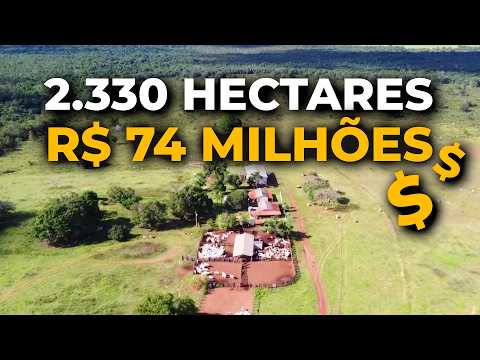Fazenda à Venda em 📍  Mato Grosso | 2.330 Hectares | 💰 R$ 74 Milhões