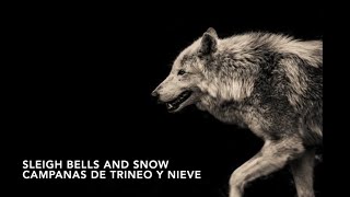 SOME ARE by David Bowie and Brian Eno. Lyrics subtitulada al Español. Remastered