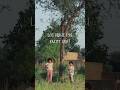 Kyu Jungle Saveforest Trees Life Nostalgia Cute Lifelessons Kidstalk Registaniladkiyan