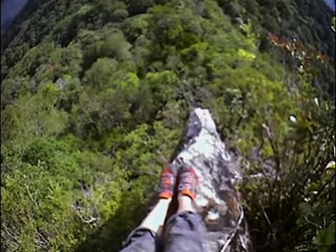 Thumbnail of the video: Climbing the Summit | Expedition Borneo | BBC Earth