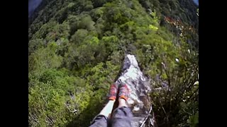 Climbing the Summit | Expedition Borneo | BBC Earth